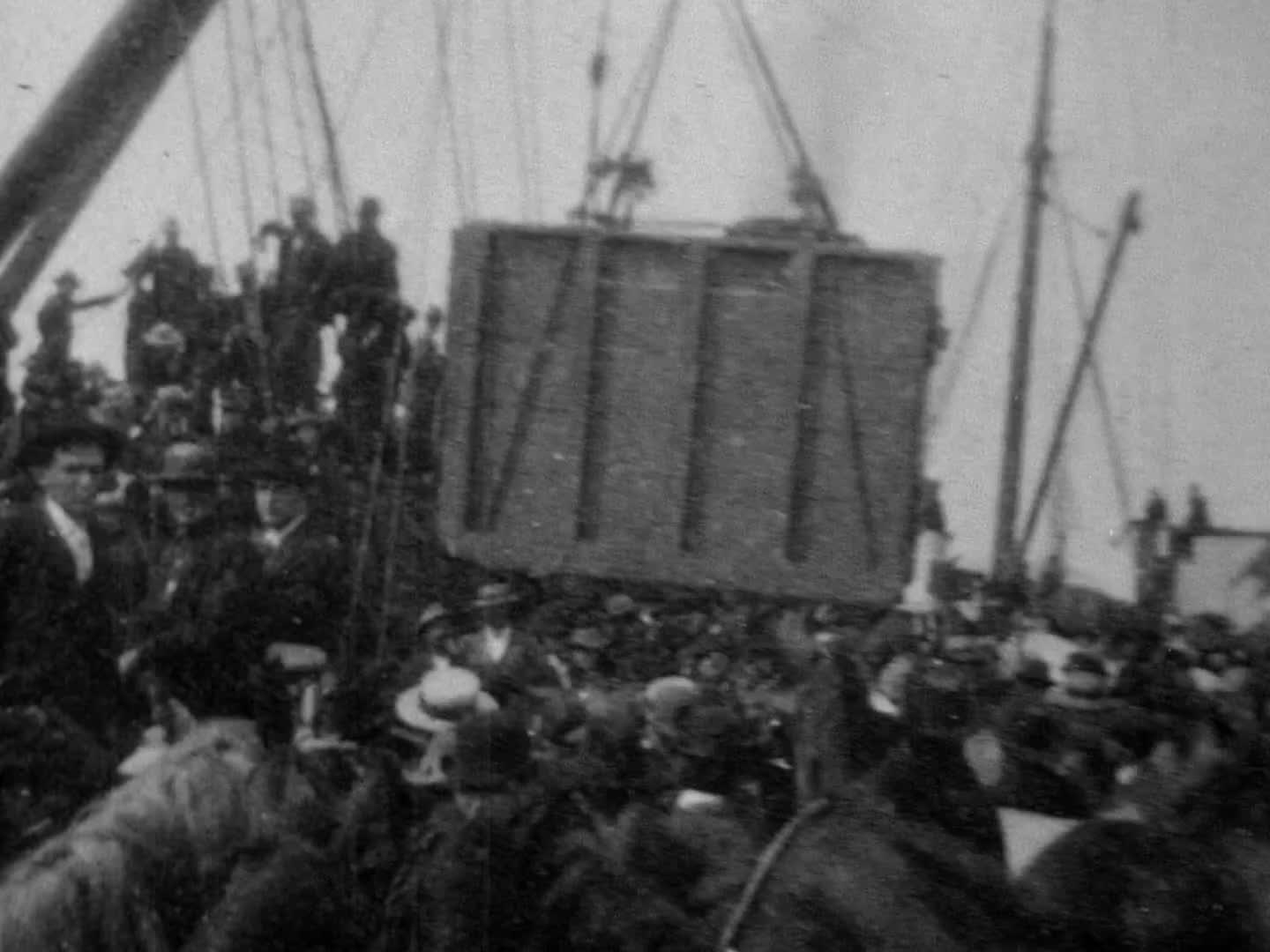 Horses being loaded onto a steamship
