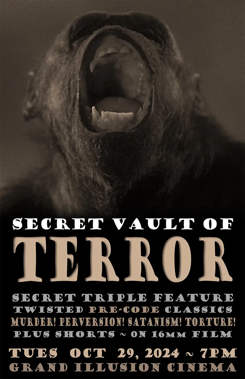 Poster for SECRET VAULT OF TERROR